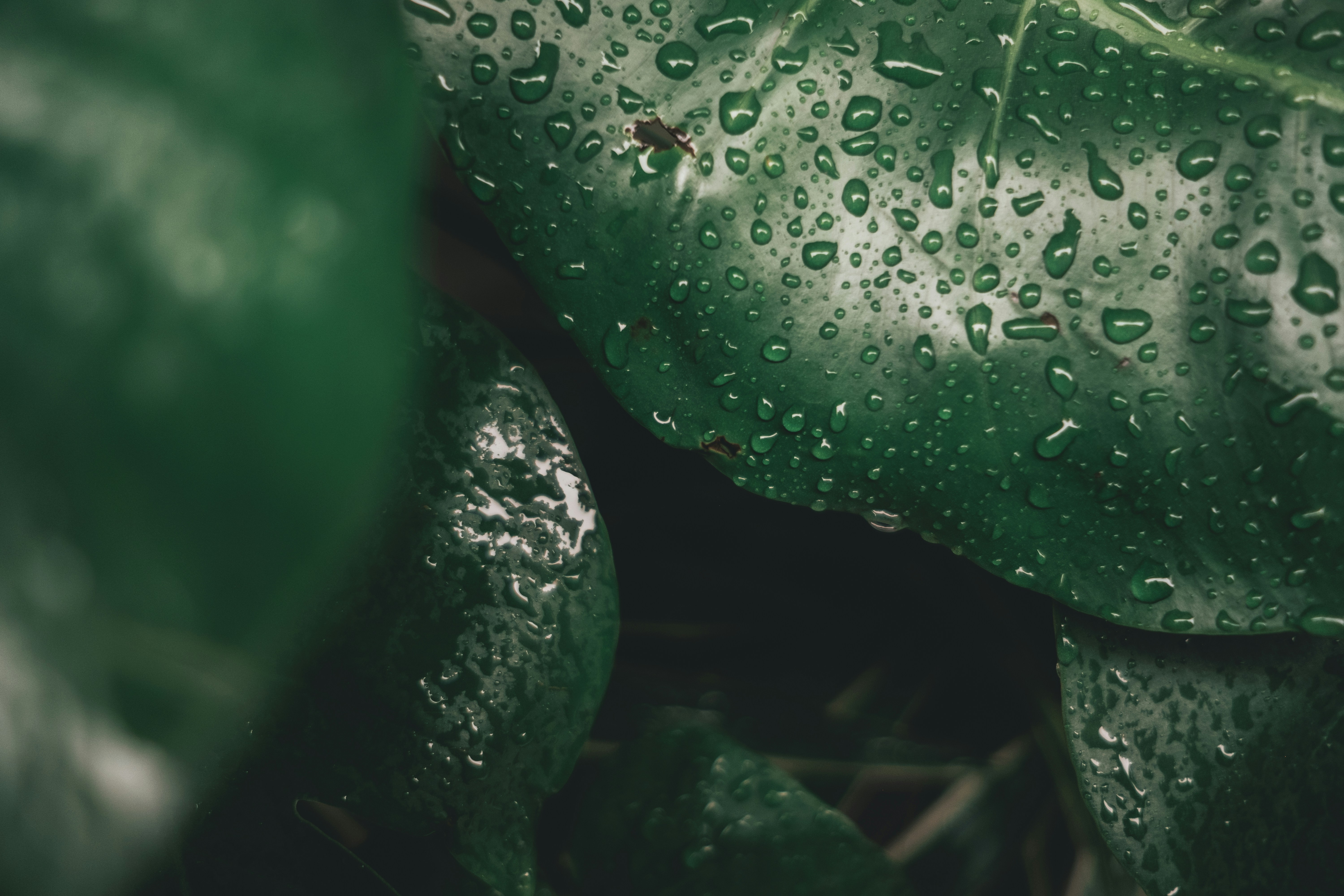 Photo by kennyzhang29