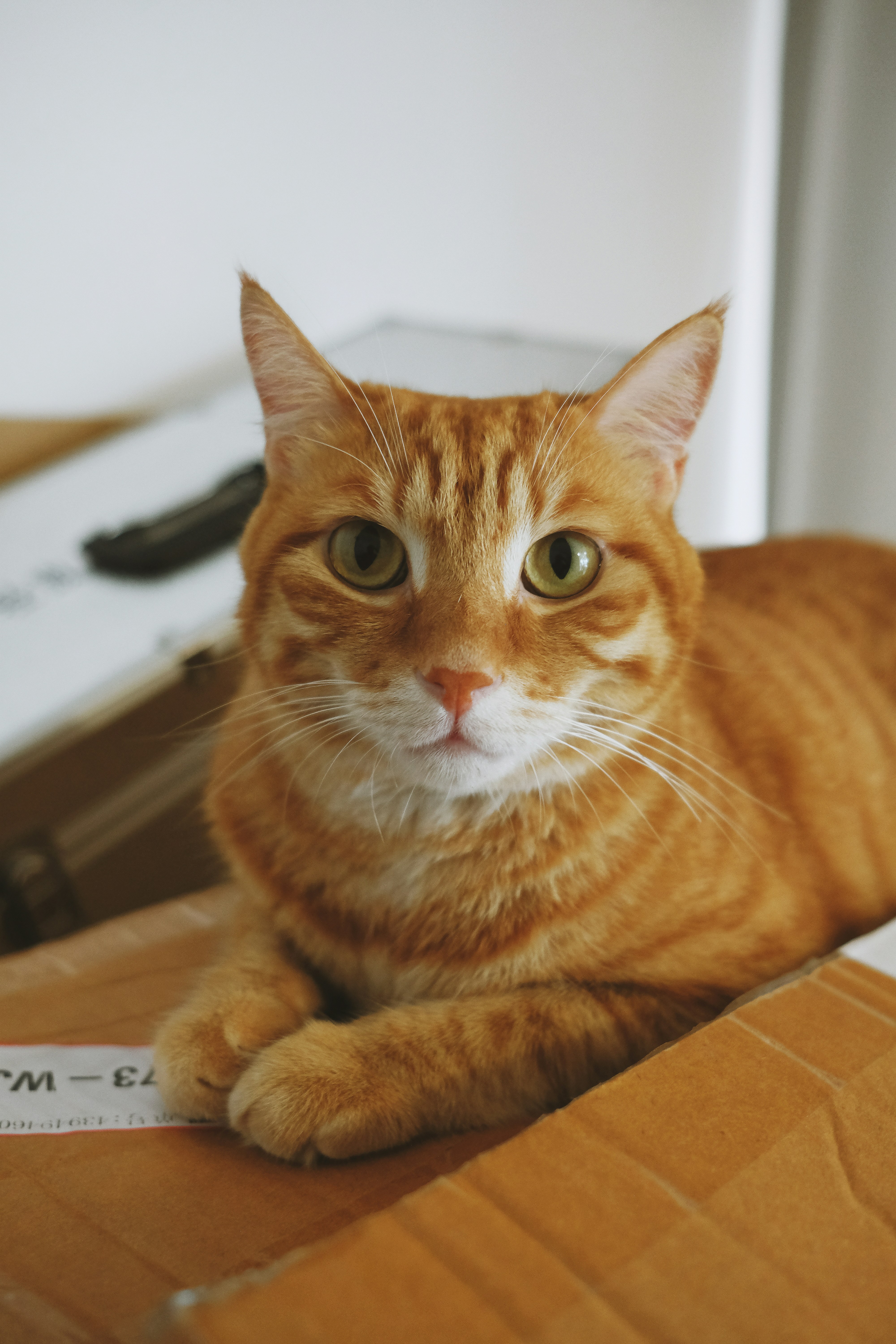 Photo by kennyzhang29