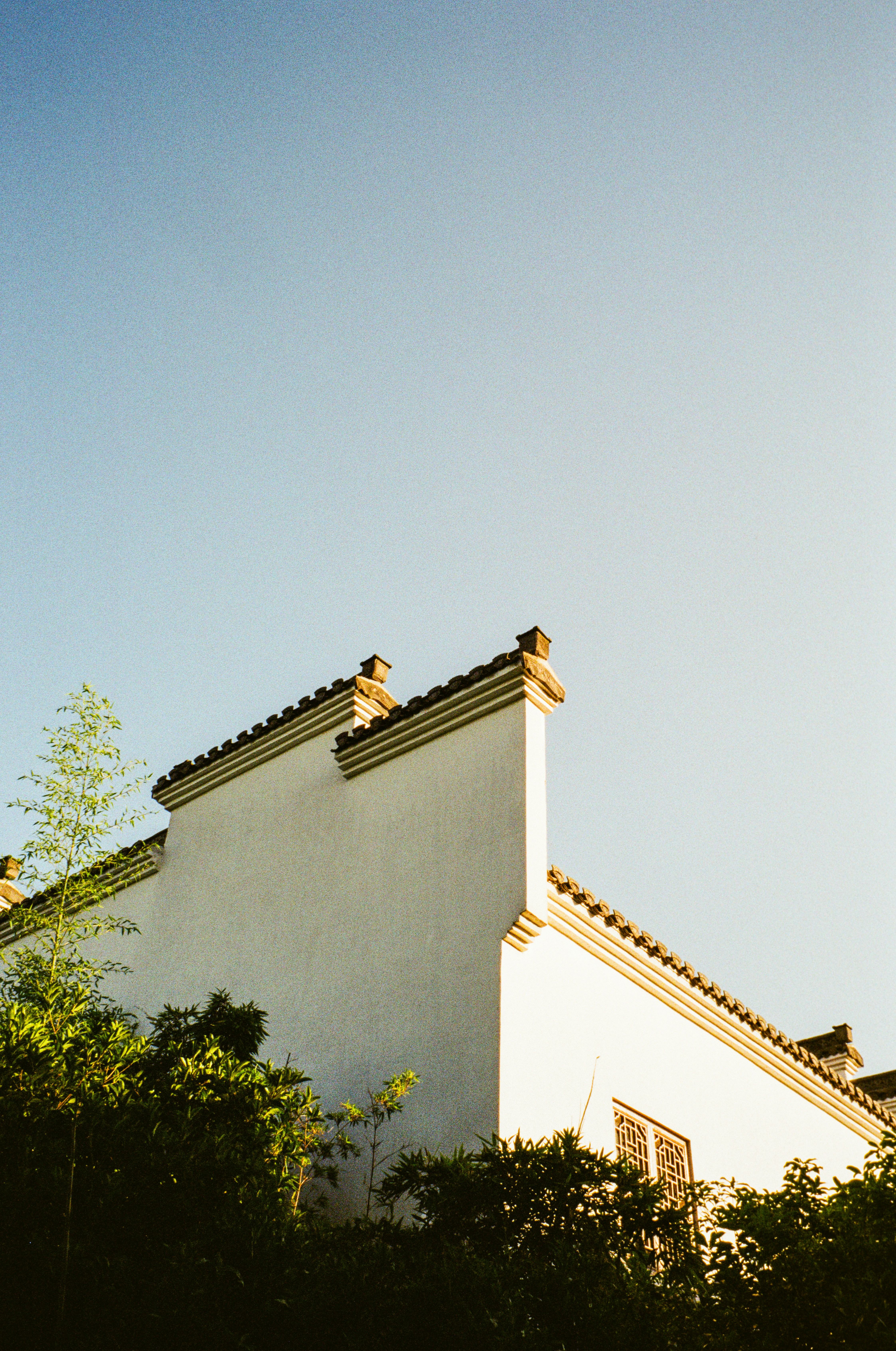 Photo by kennyzhang29