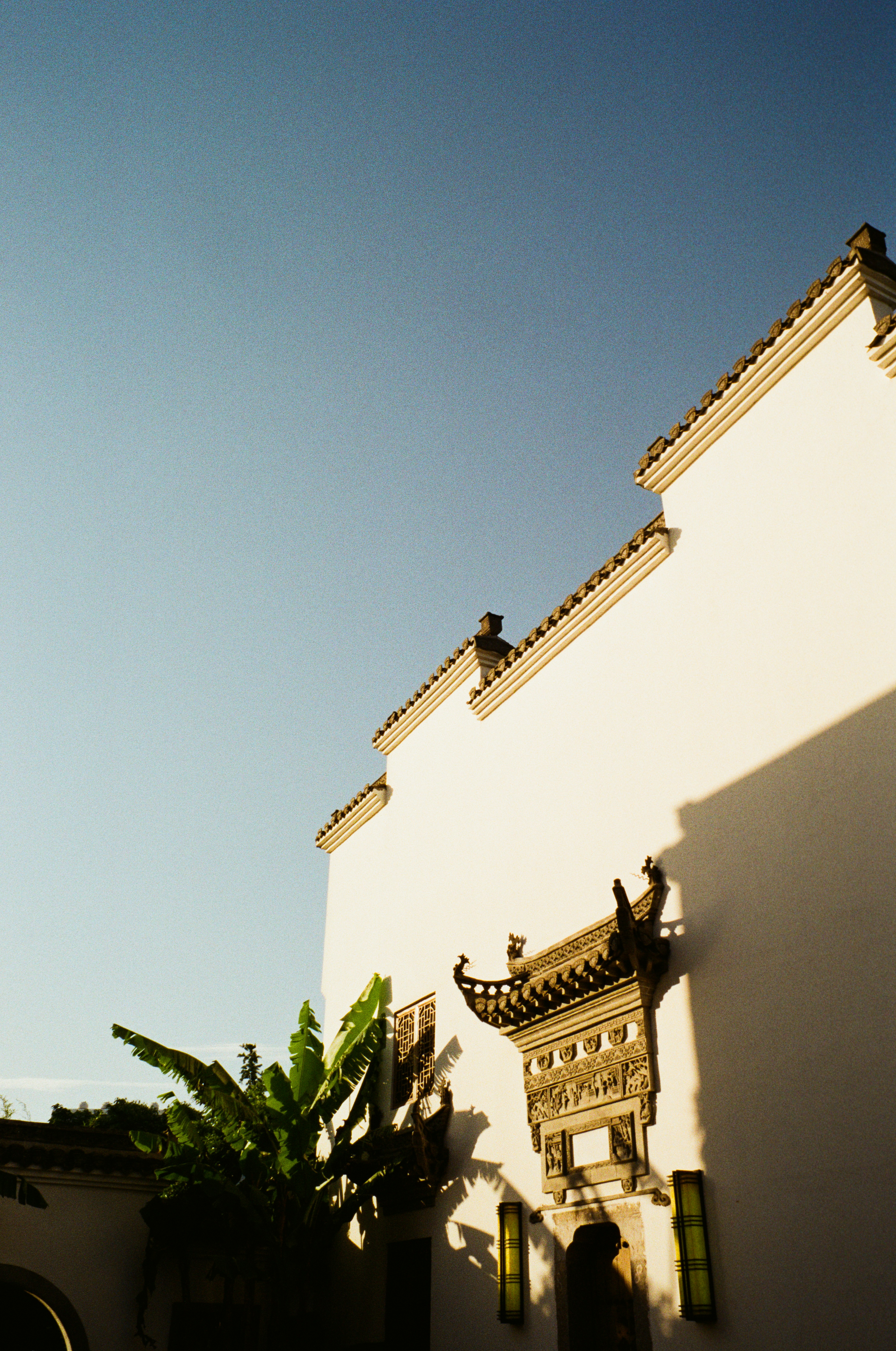 Photo by kennyzhang29