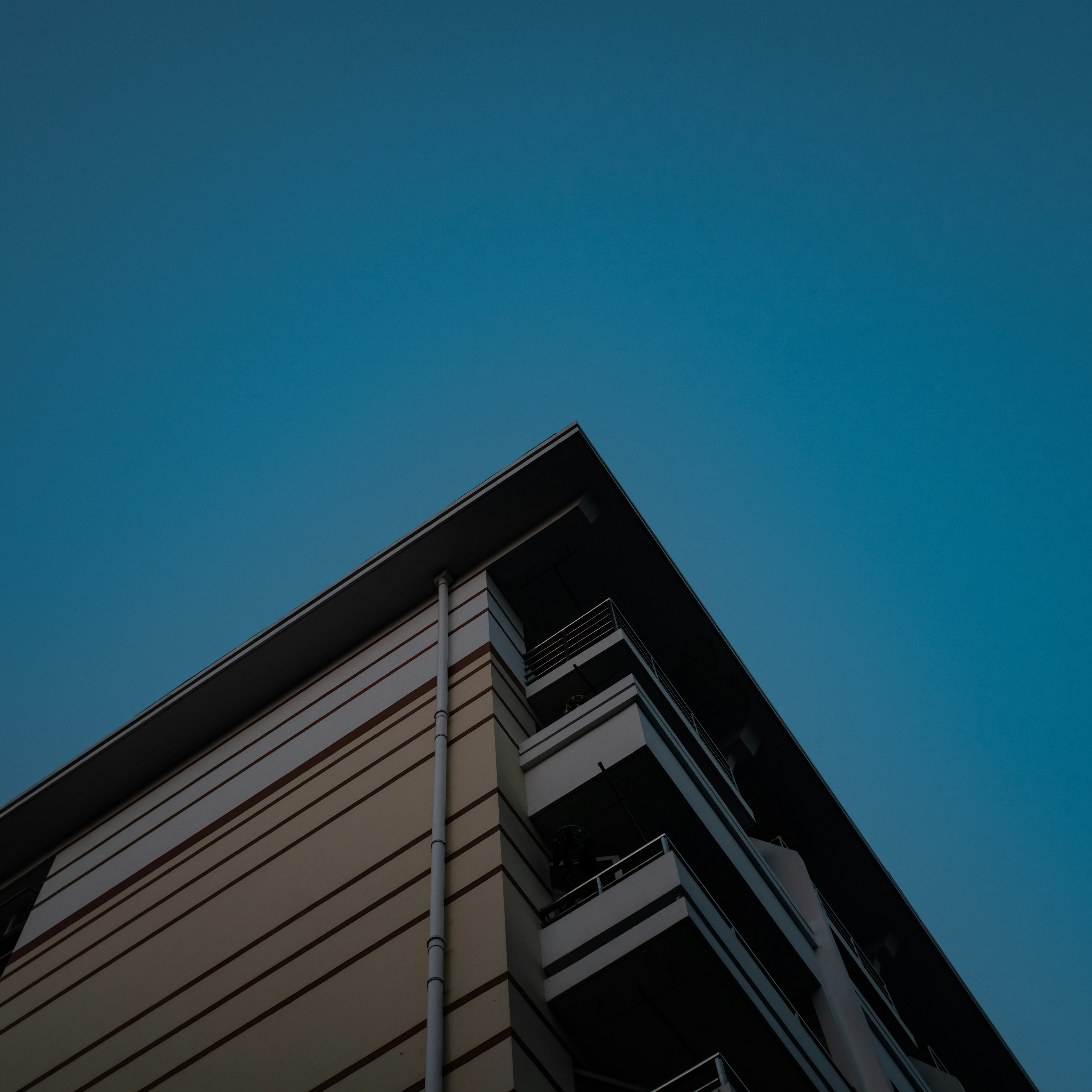 Photo by kennyzhang29