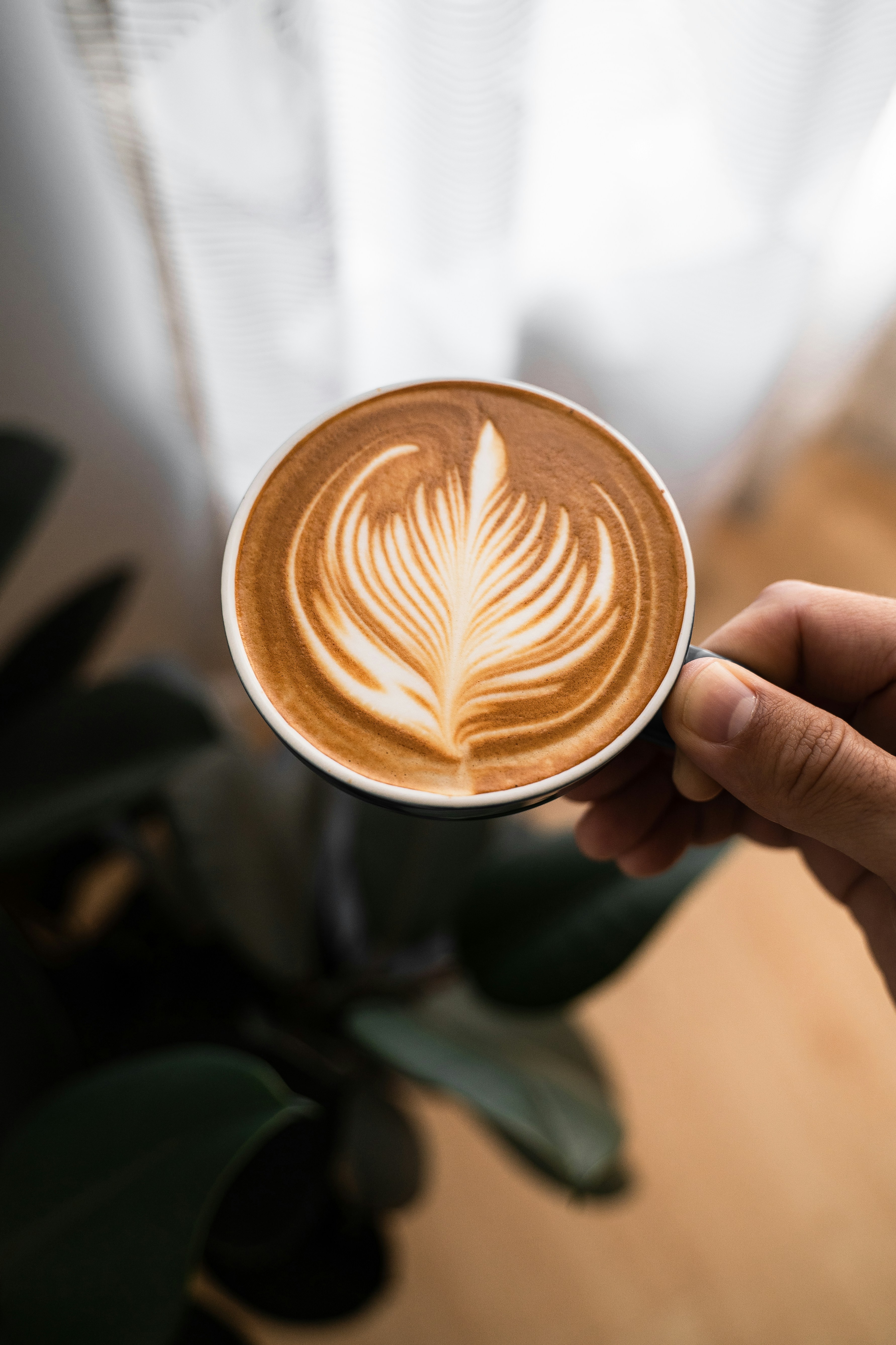 barista