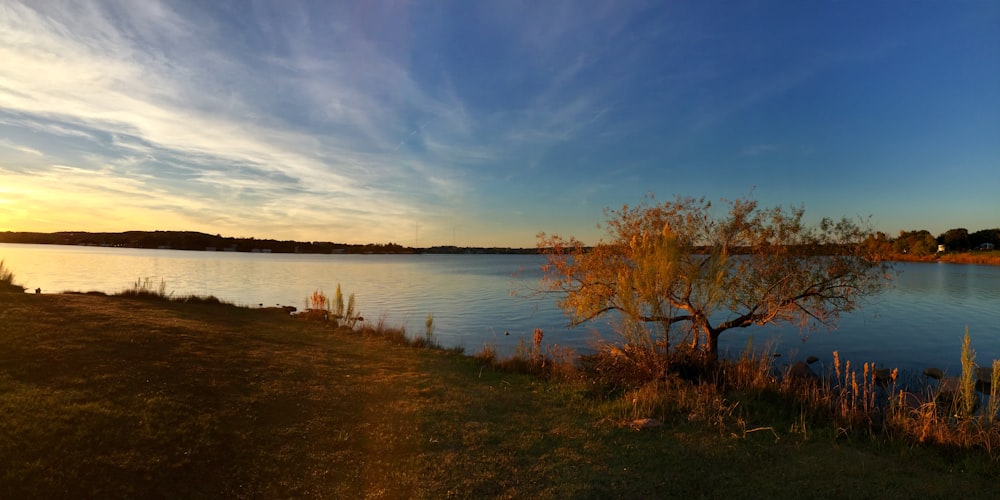 calm body of water