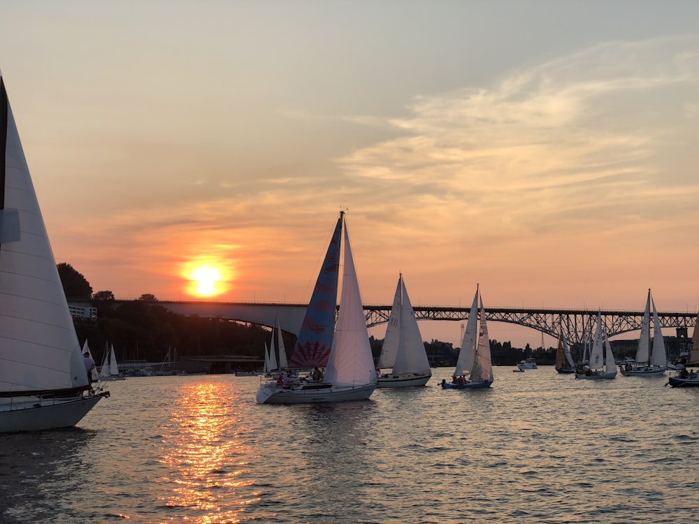 sailboats floating on water near iron bridge during golden hour