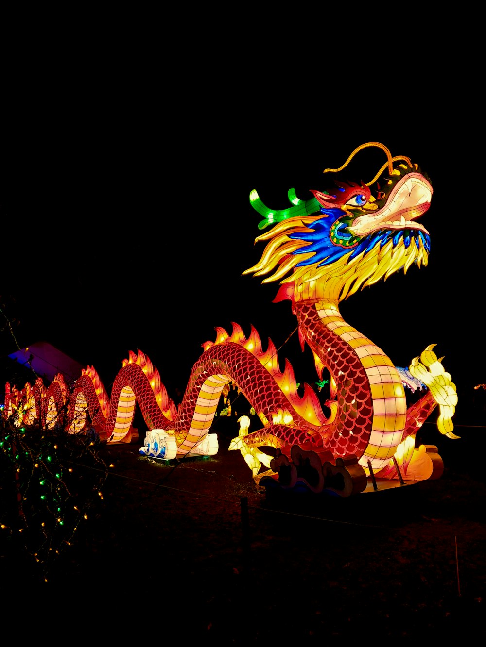 dragon display