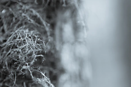 A contemplative person gazing at a complex network of natural and human-made systems intertwined.