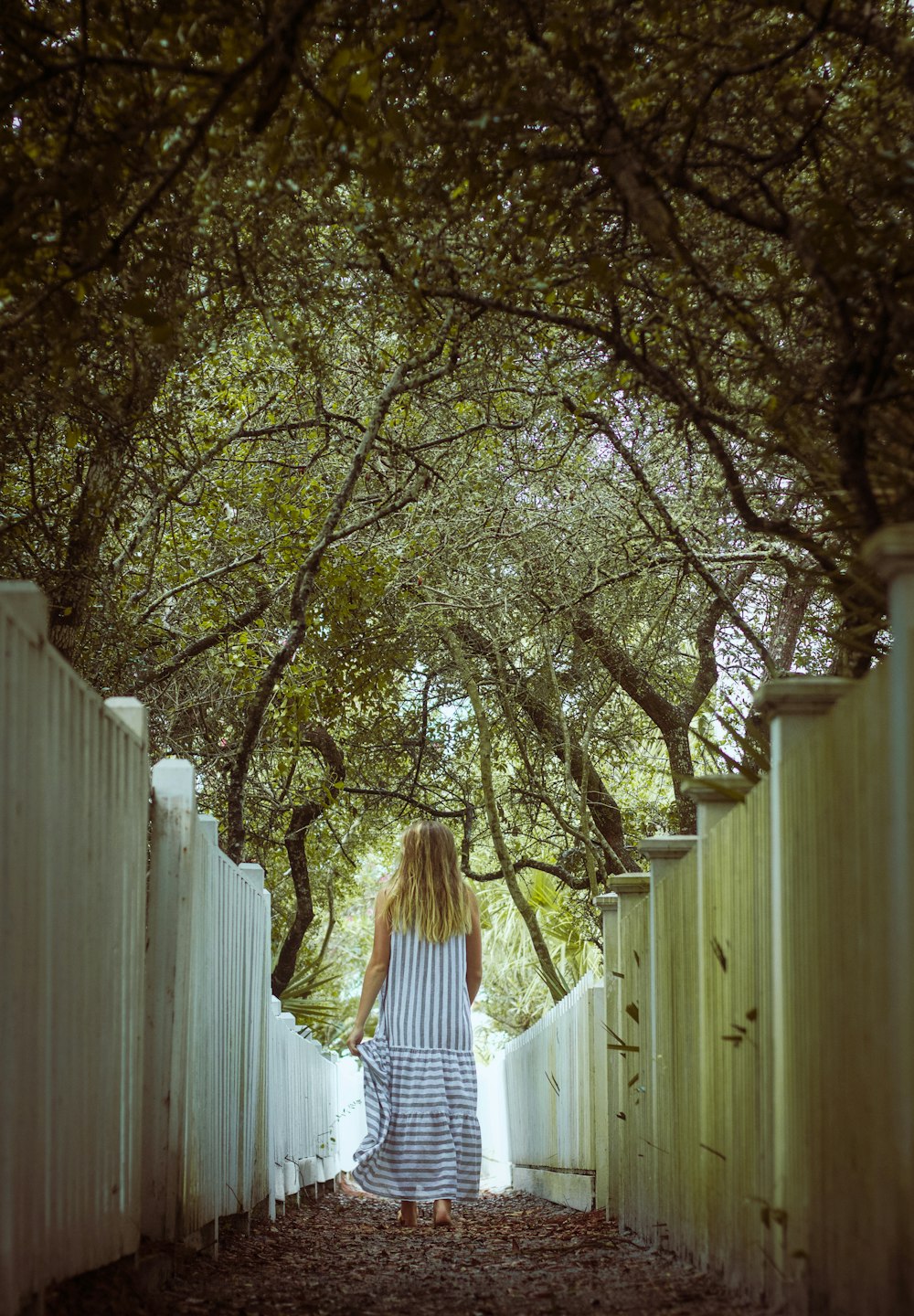 a woman walking down a path between trees