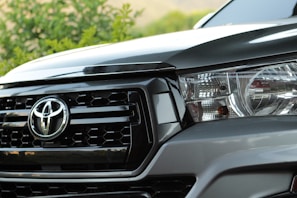 Close-up view of a car's front grille and headlight, featuring a prominent logo. The car's exterior is clean and well-maintained, with reflections visible on the glossy surface. Greenery is visible in the background.