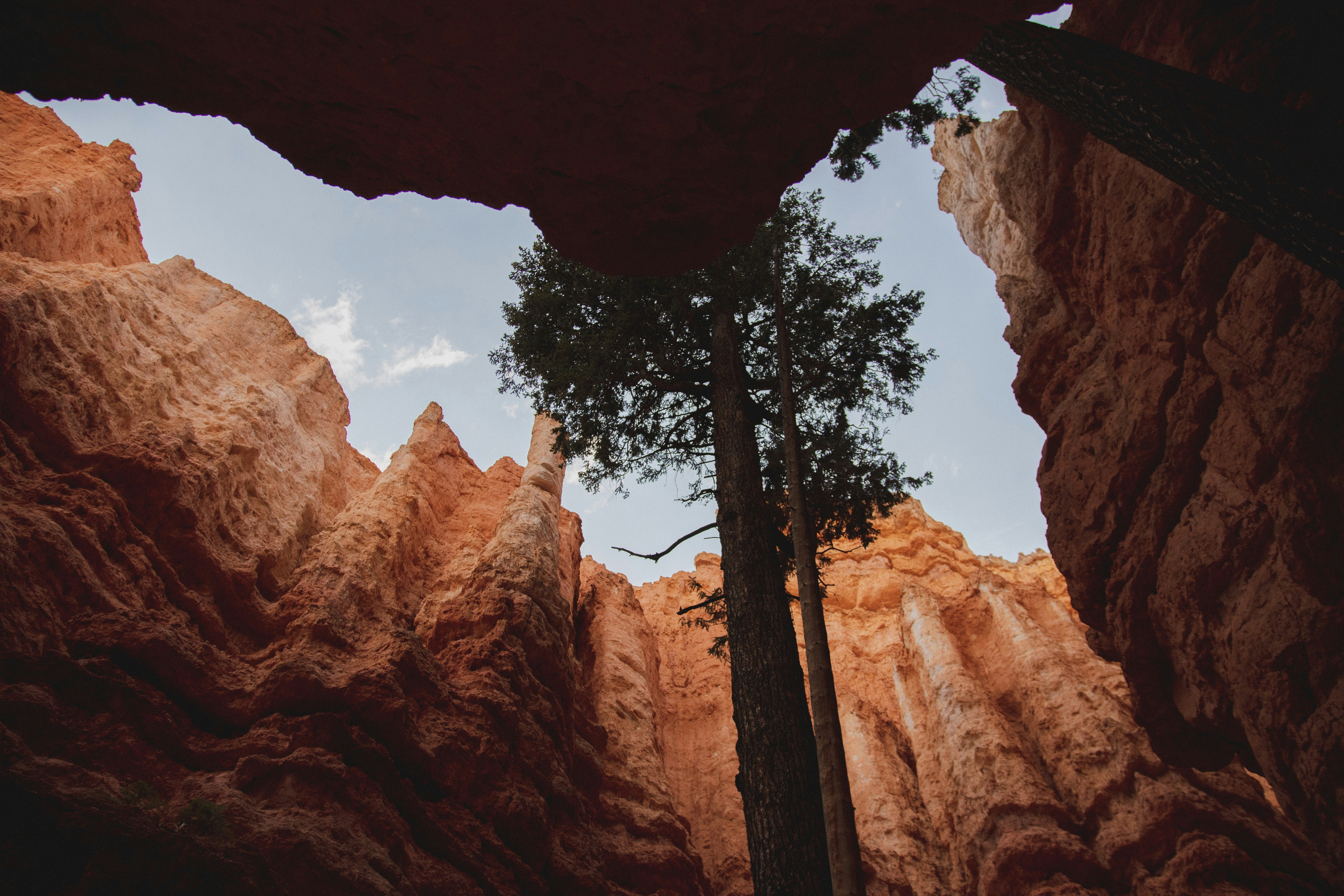 Photo by feeedderico