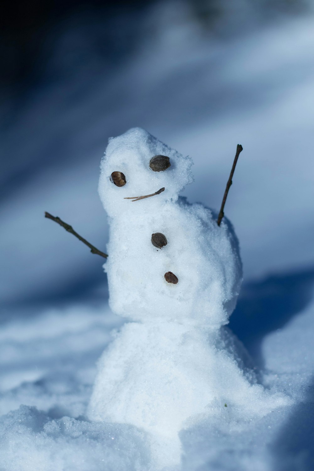 closeup photo of snowman