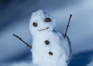 closeup photo of snowman
