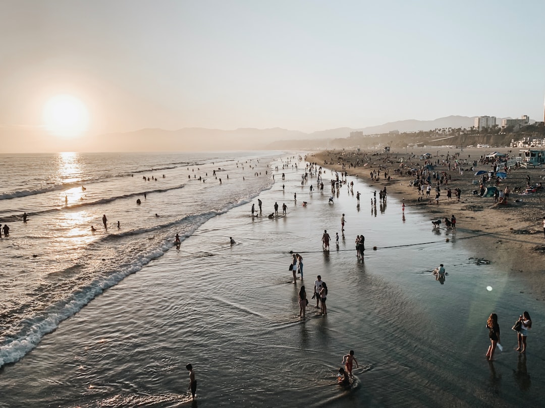 people walking on seashore