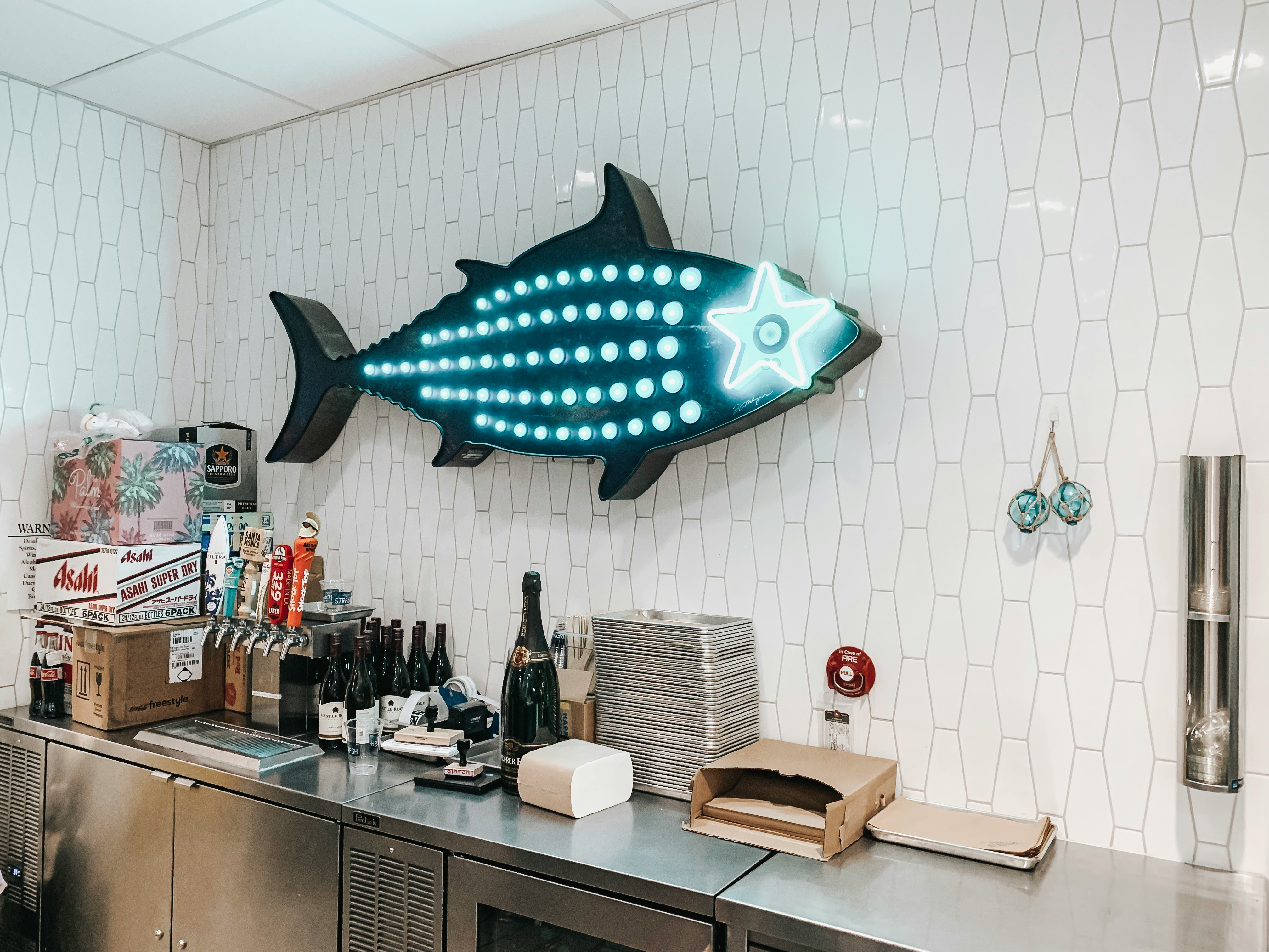 fish LED light wall decor