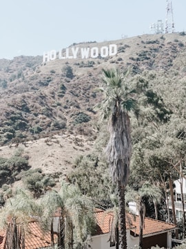The iconic Hollywood sign is set against a backdrop of rugged, grassy hills. Below are tall palm trees and a building with a red-tiled roof. The atmosphere is sunny and bright, with some vegetation on the hillside.