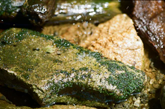 Clean, scale-free equipment surface after using Scaleease-40, shining under bright light.