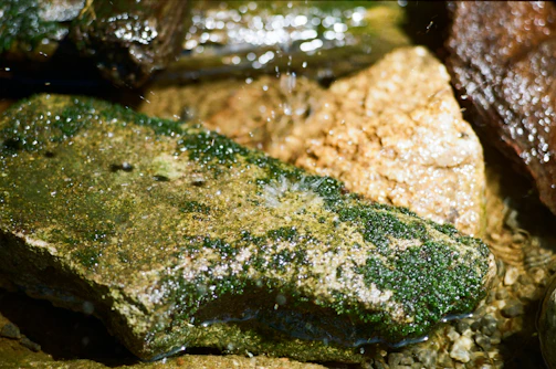 Clean, scale-free equipment surface after using Scaleease-40, shining under bright light.