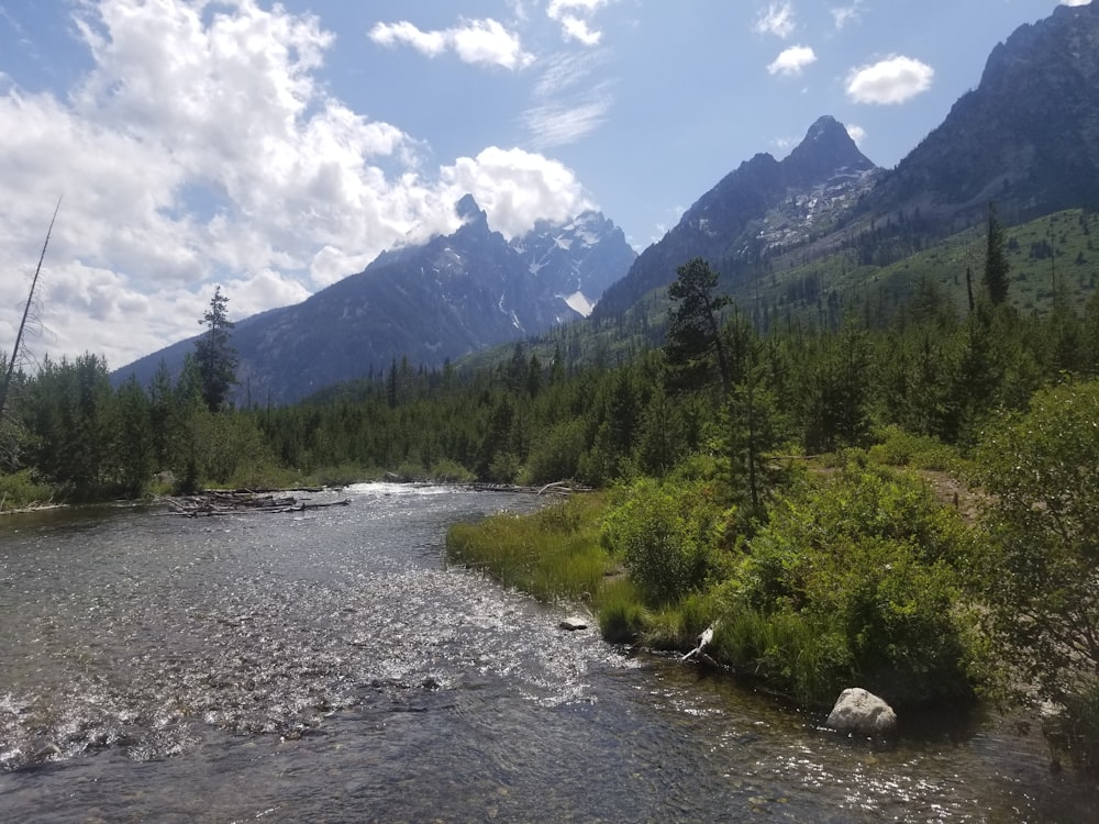 landscape photo of a river