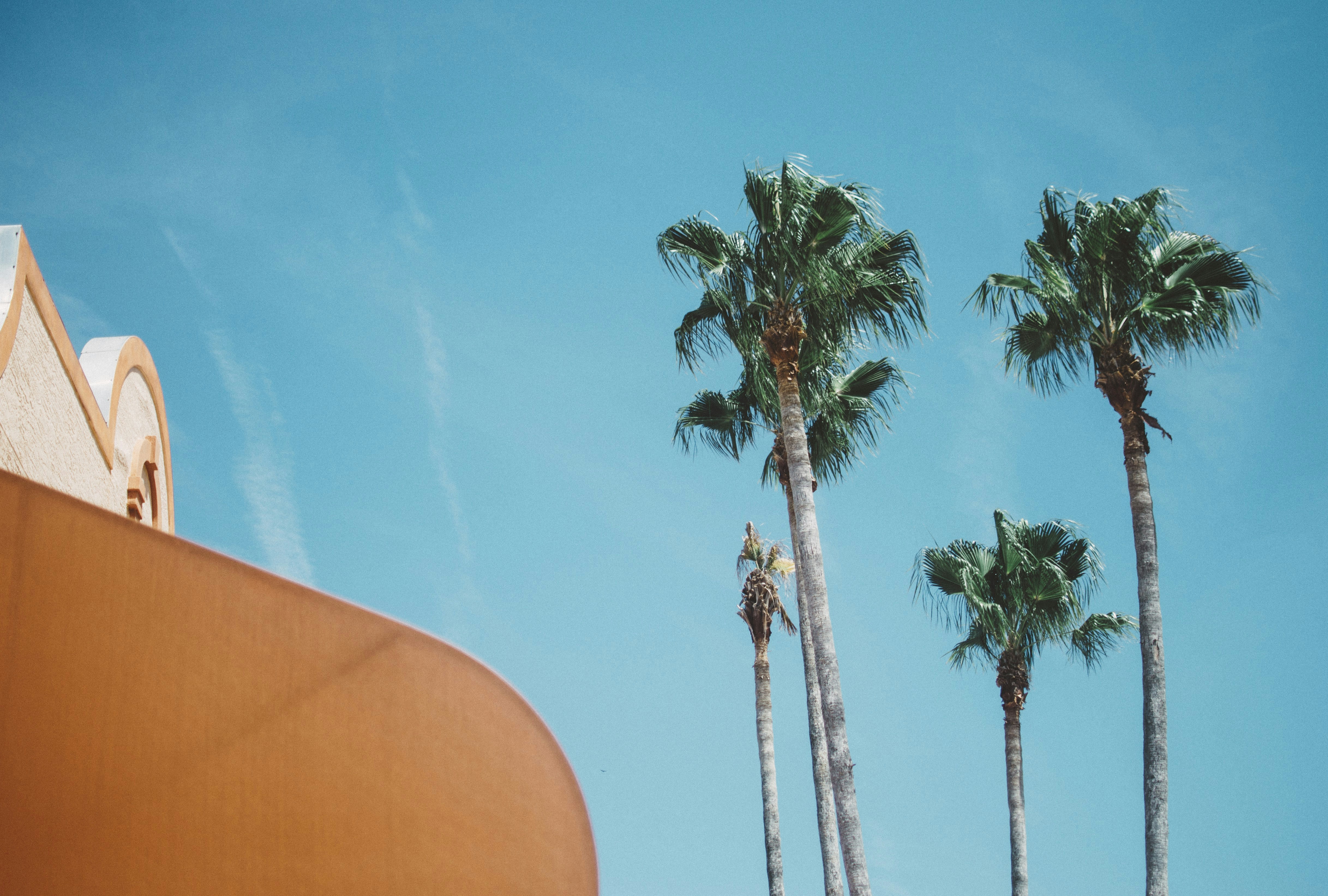 Photo by tristan_gevaux