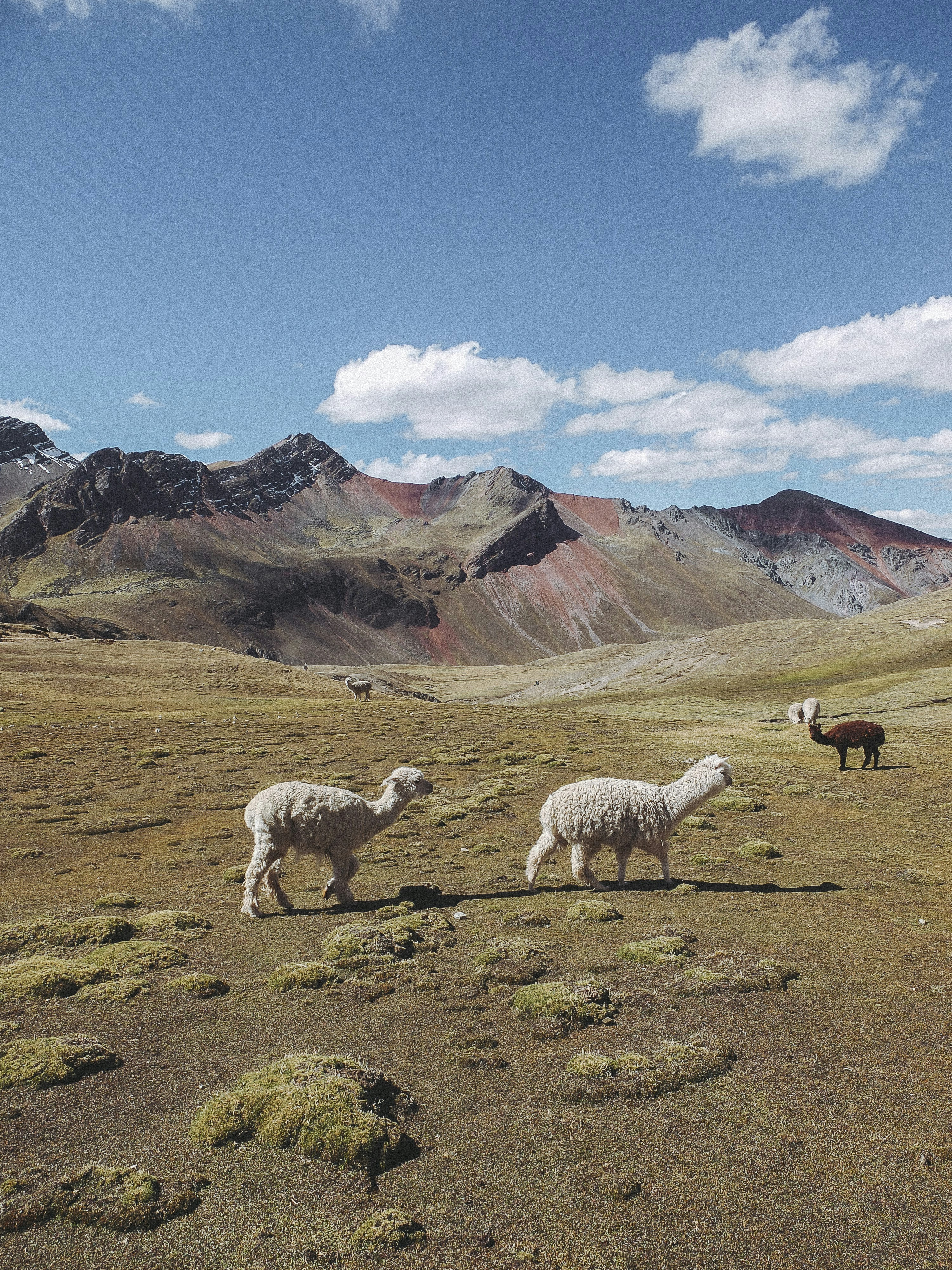 Photo by tristan_gevaux