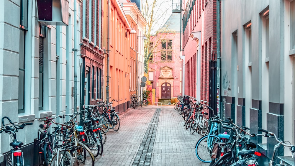 rows of parked bikes at an alley