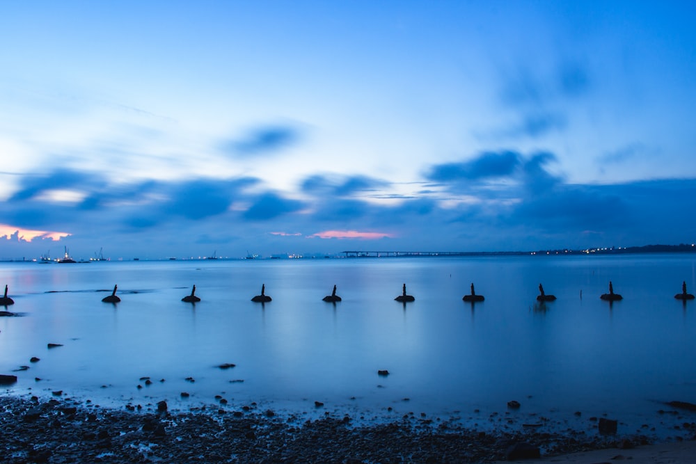 landscape photo of a beach