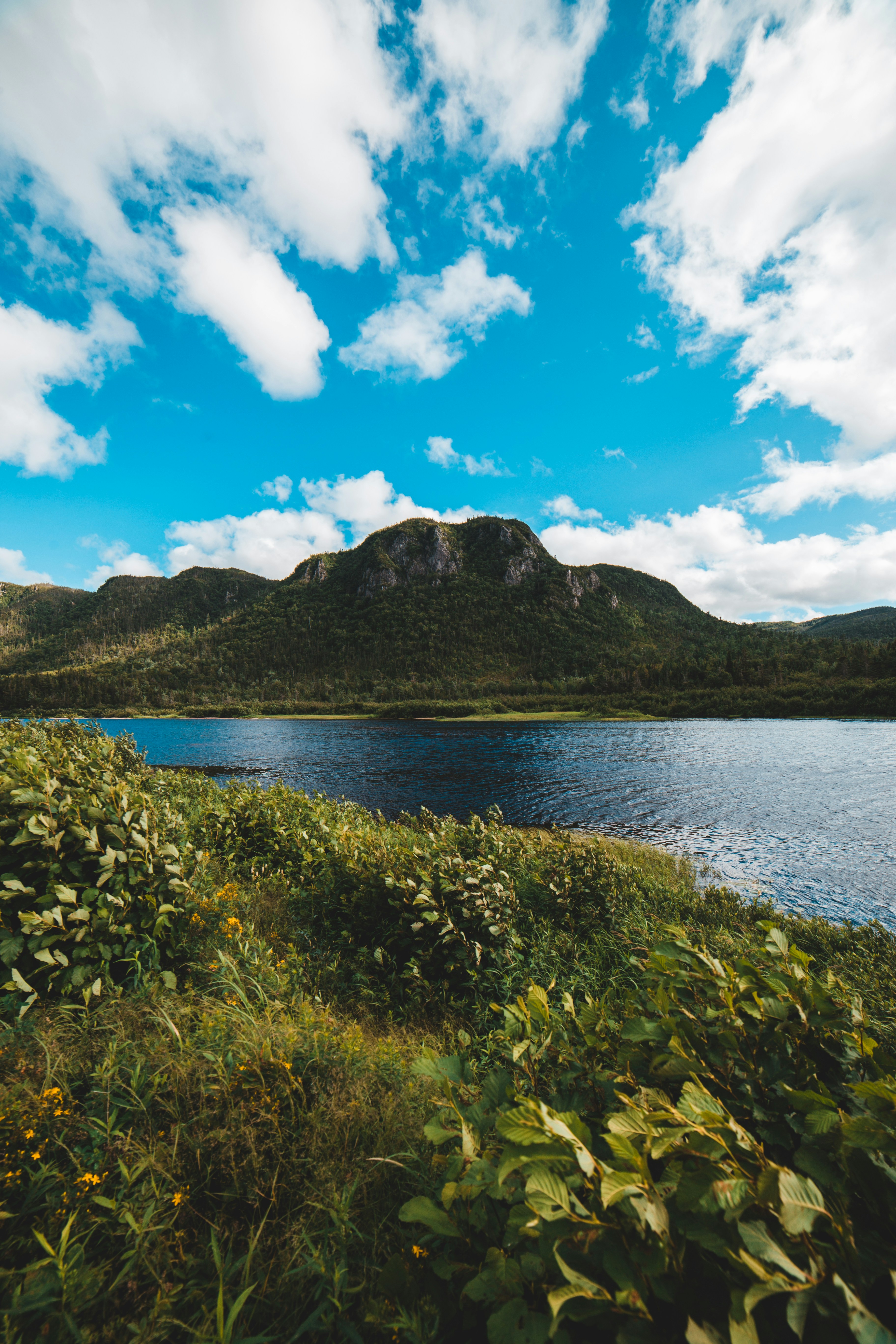 Photo by introspectivedsgn