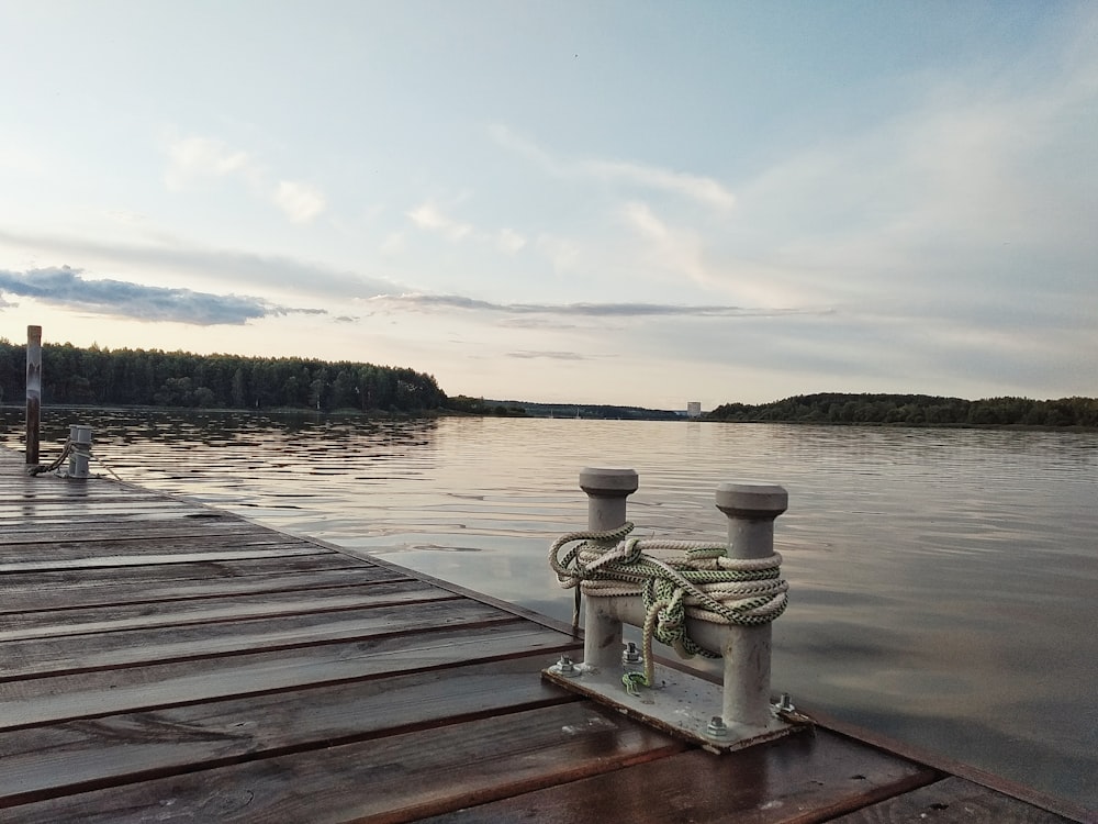 brown wooden sea dock