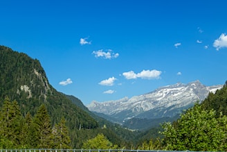 A scenic view of mountain landscape with trees and clear sky.