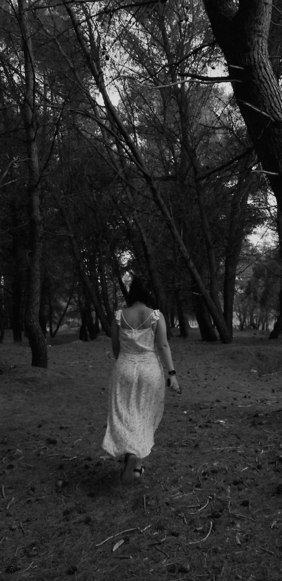 The image depicts a solitary figure walking through a forest, dressed in a white dress that contrasts with the surrounding greenery. The person is moving towards the right side of the frame, their back to the camera and facing away from it. The forest around them is dense with trees, creating a sense of depth and distance. The black and white color scheme adds an air of timelessness to the scene.