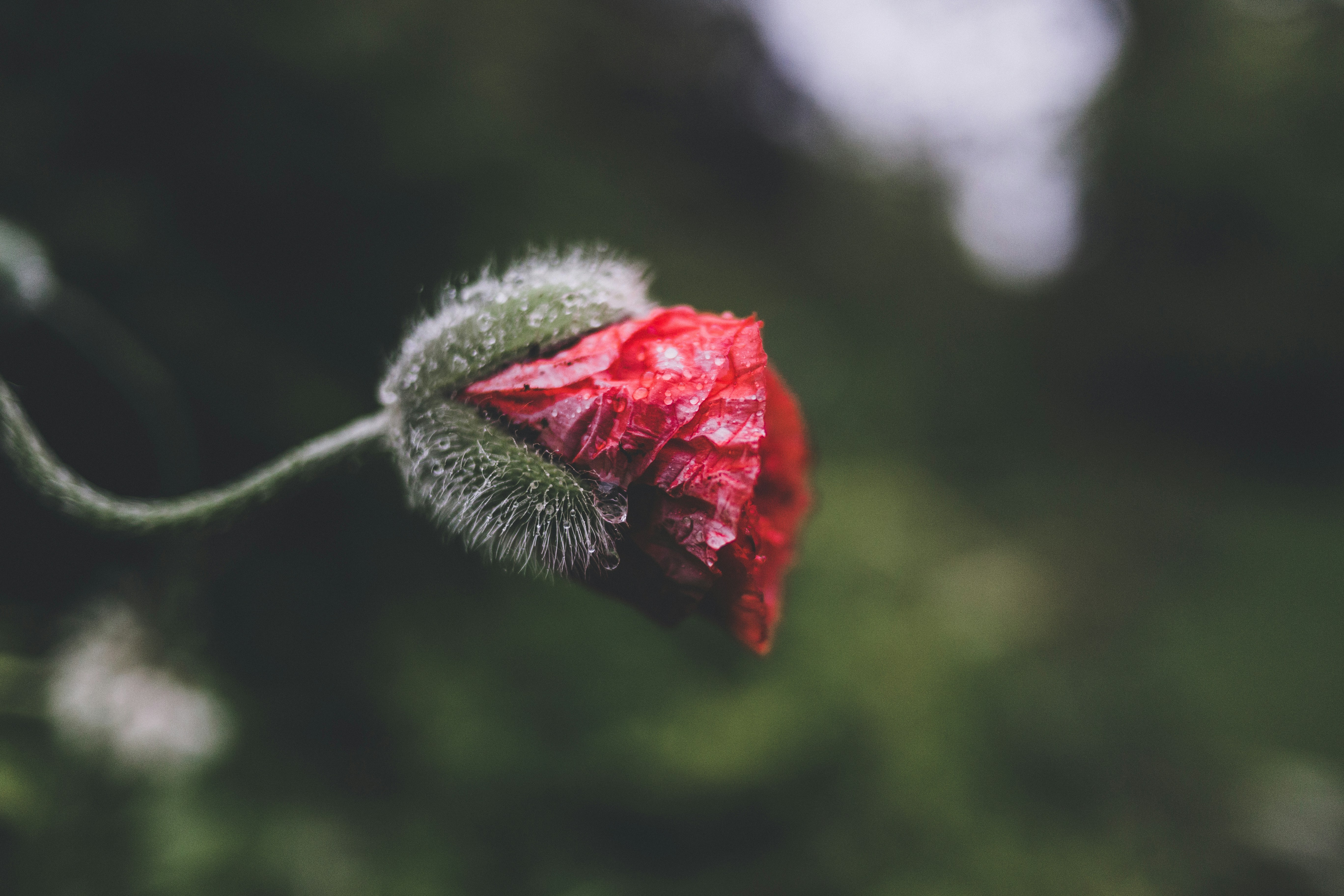 Comment améliorer sa soutien