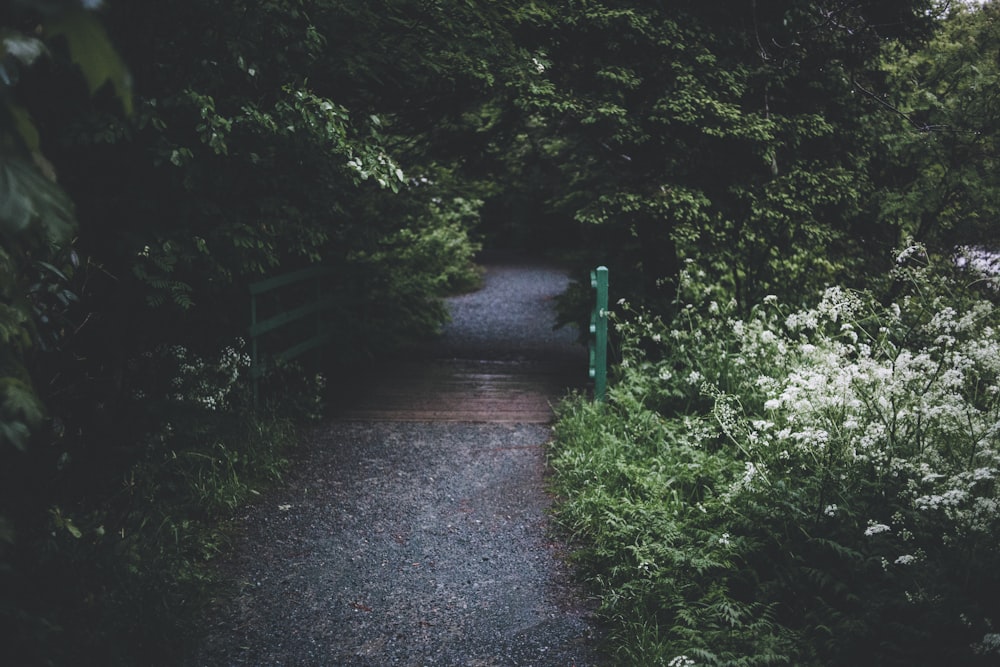 gray stone road with brown and green foot bridge