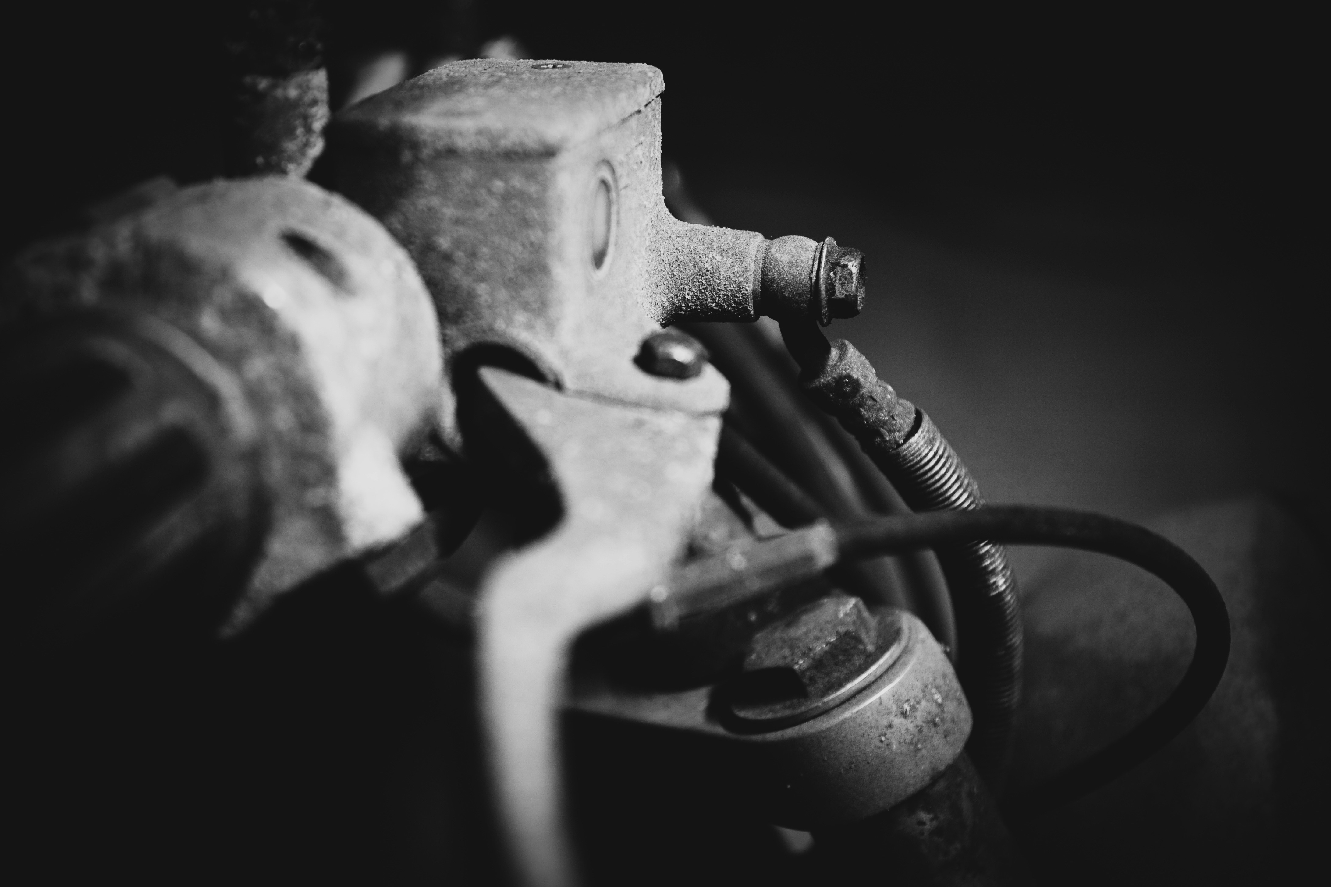 Photo by danielgregoire