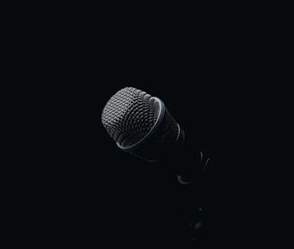 black and gray microphone