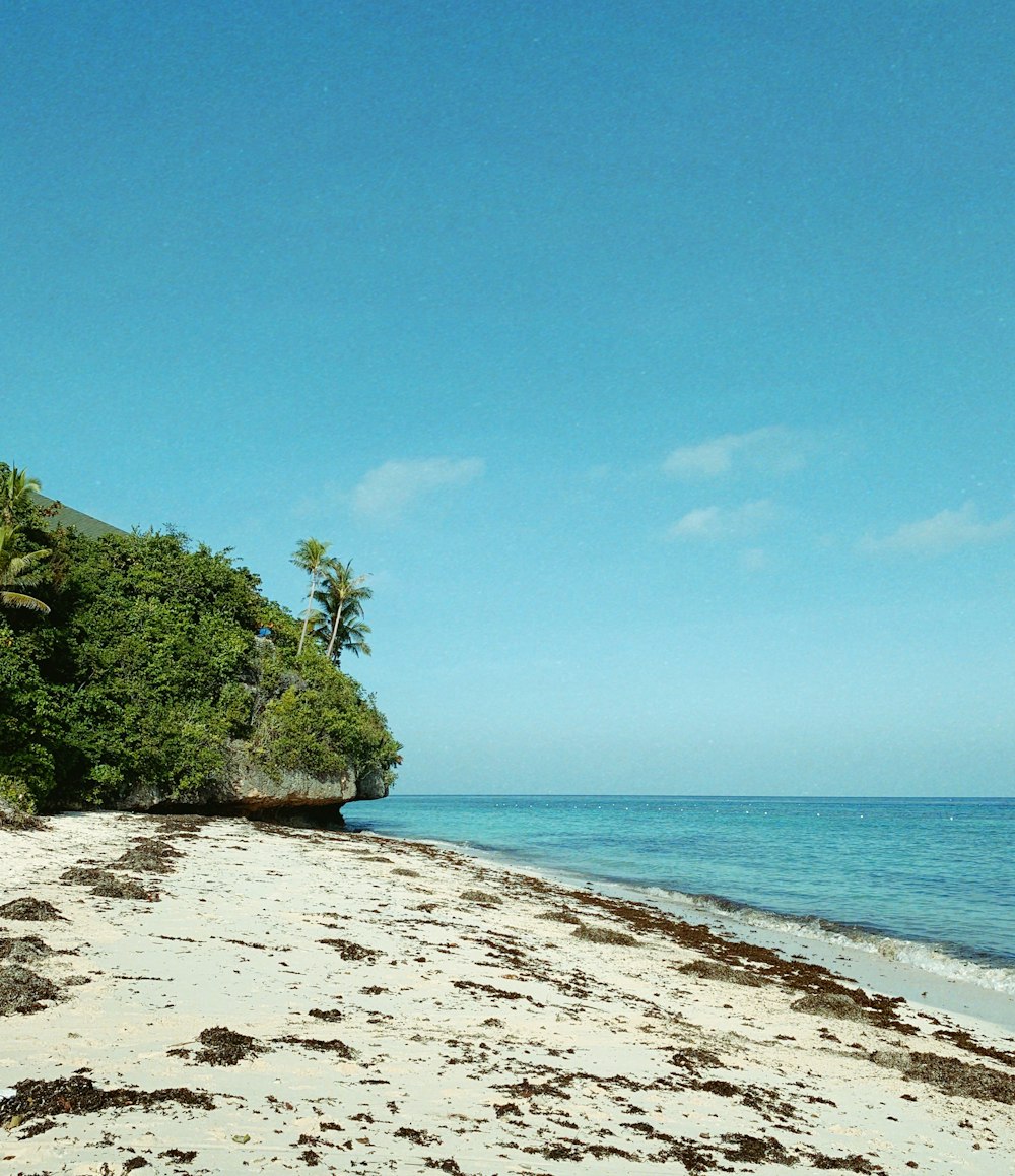 landscape photo of a beach