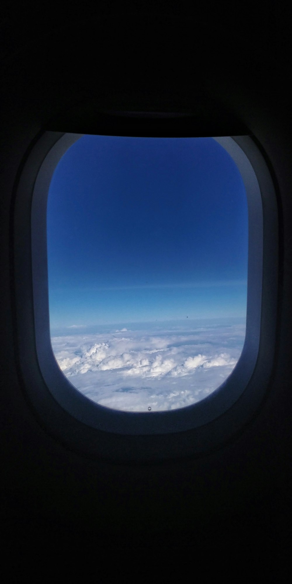 白い飛行機の窓