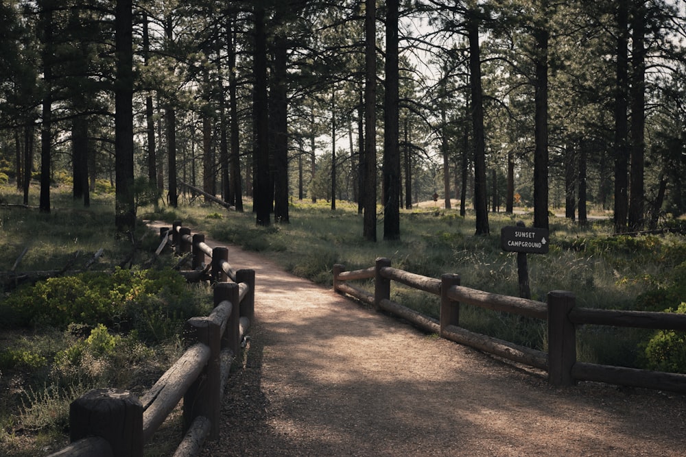 brown wooden fence near tall trees during daytime