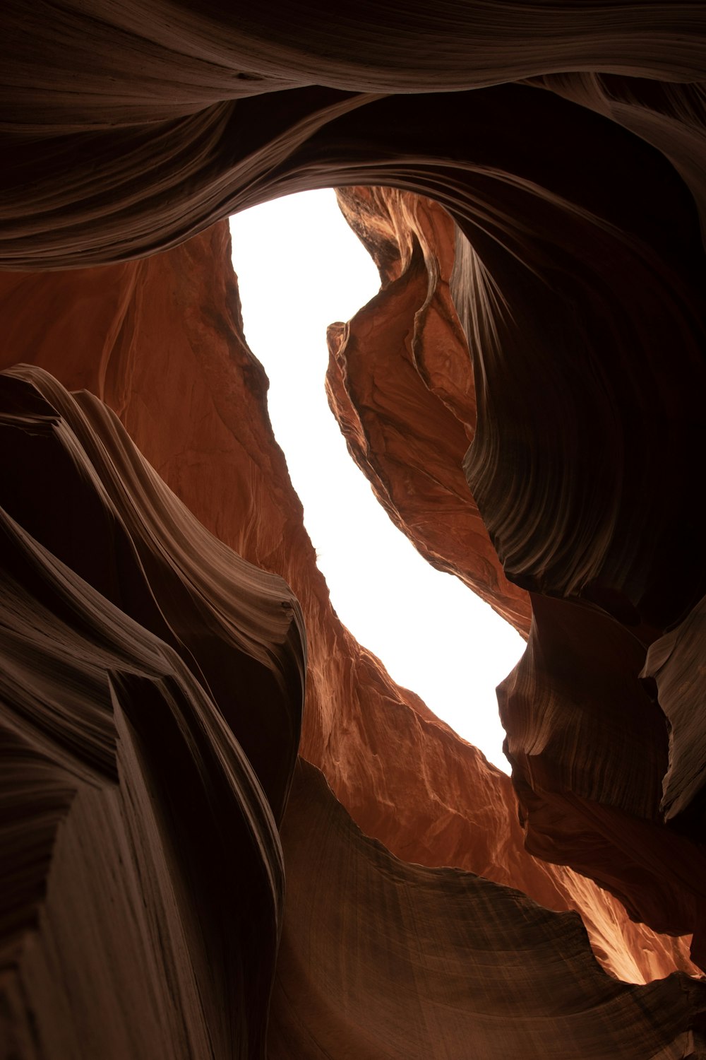 Grand Canyon during daytime