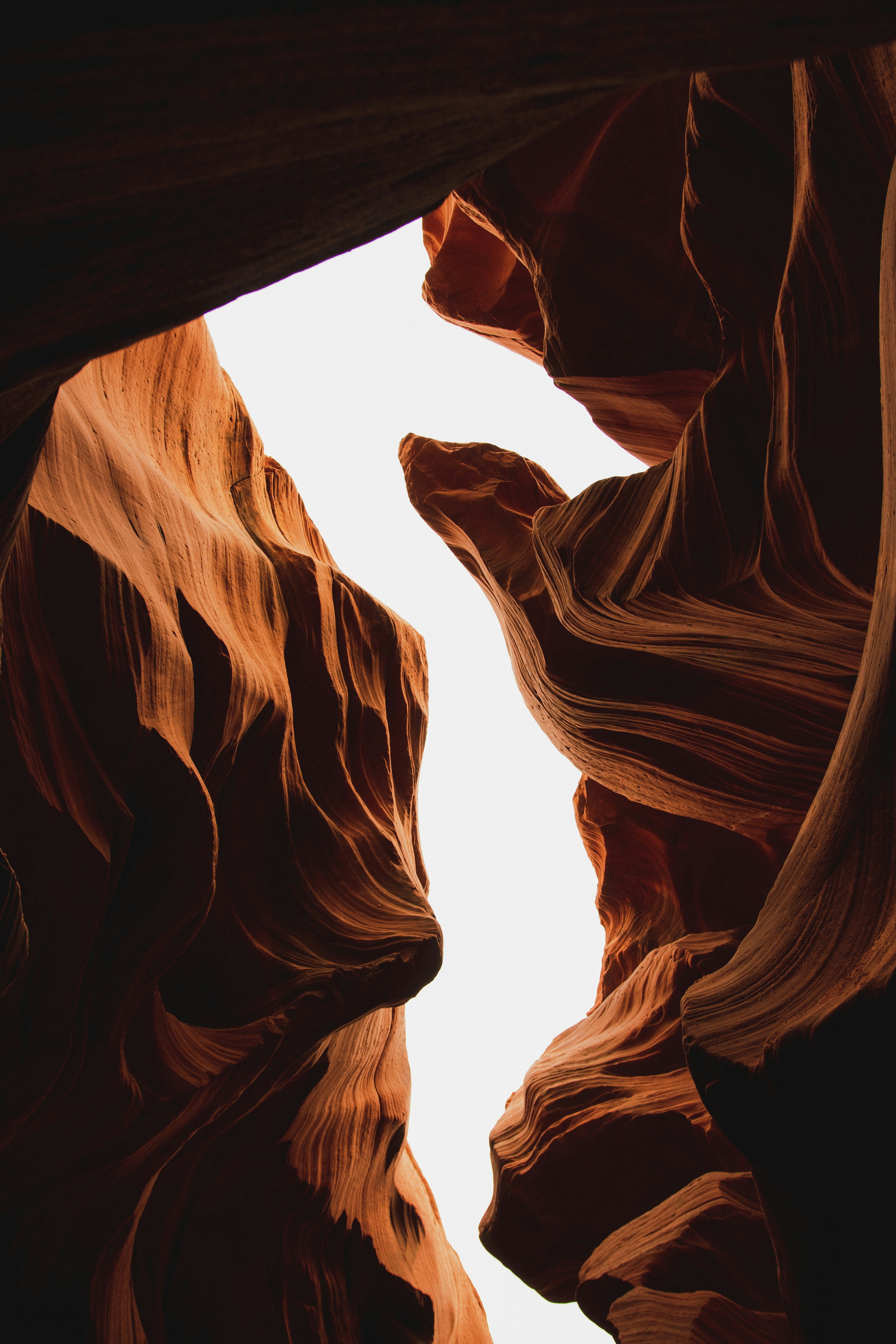 Photo by feeedderico