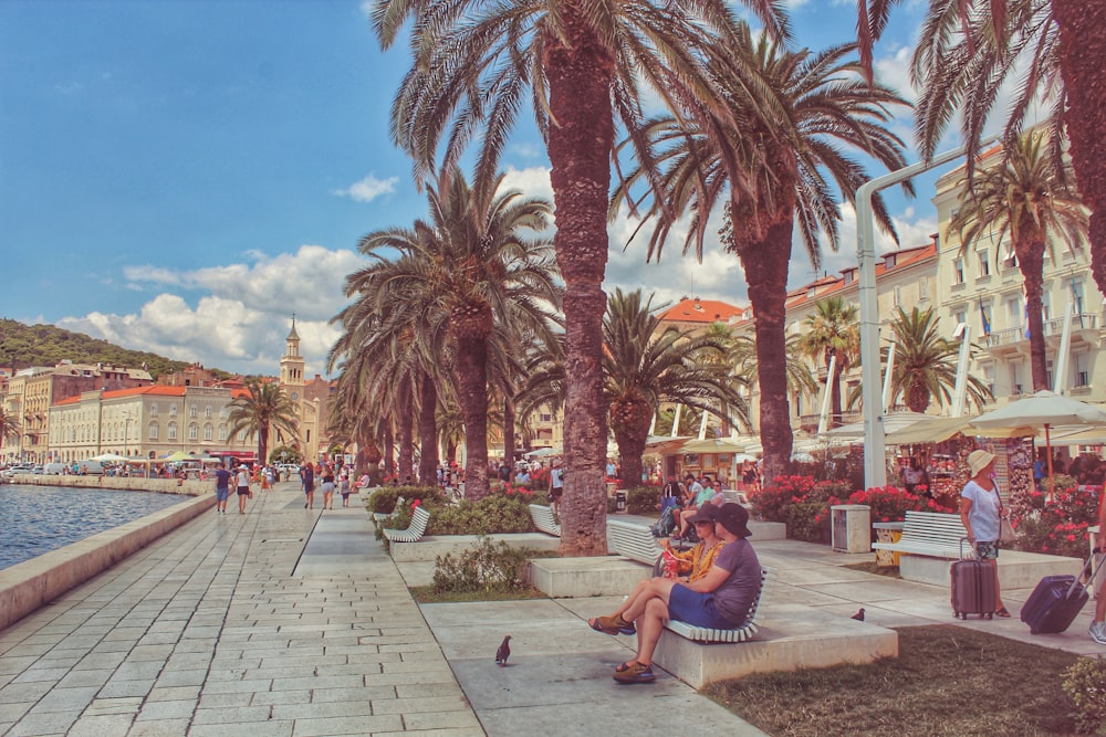 woman sitting on bench near outdoor during daytime