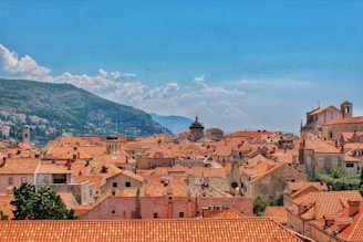 aerial photo of urban