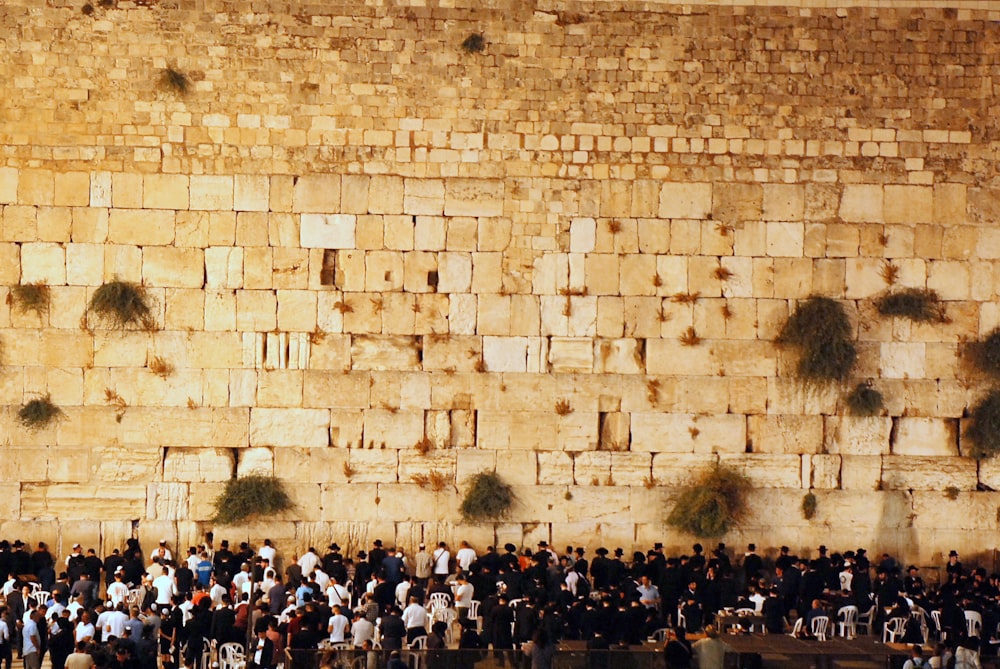Gente reunida cerca de un muro de ladrillos