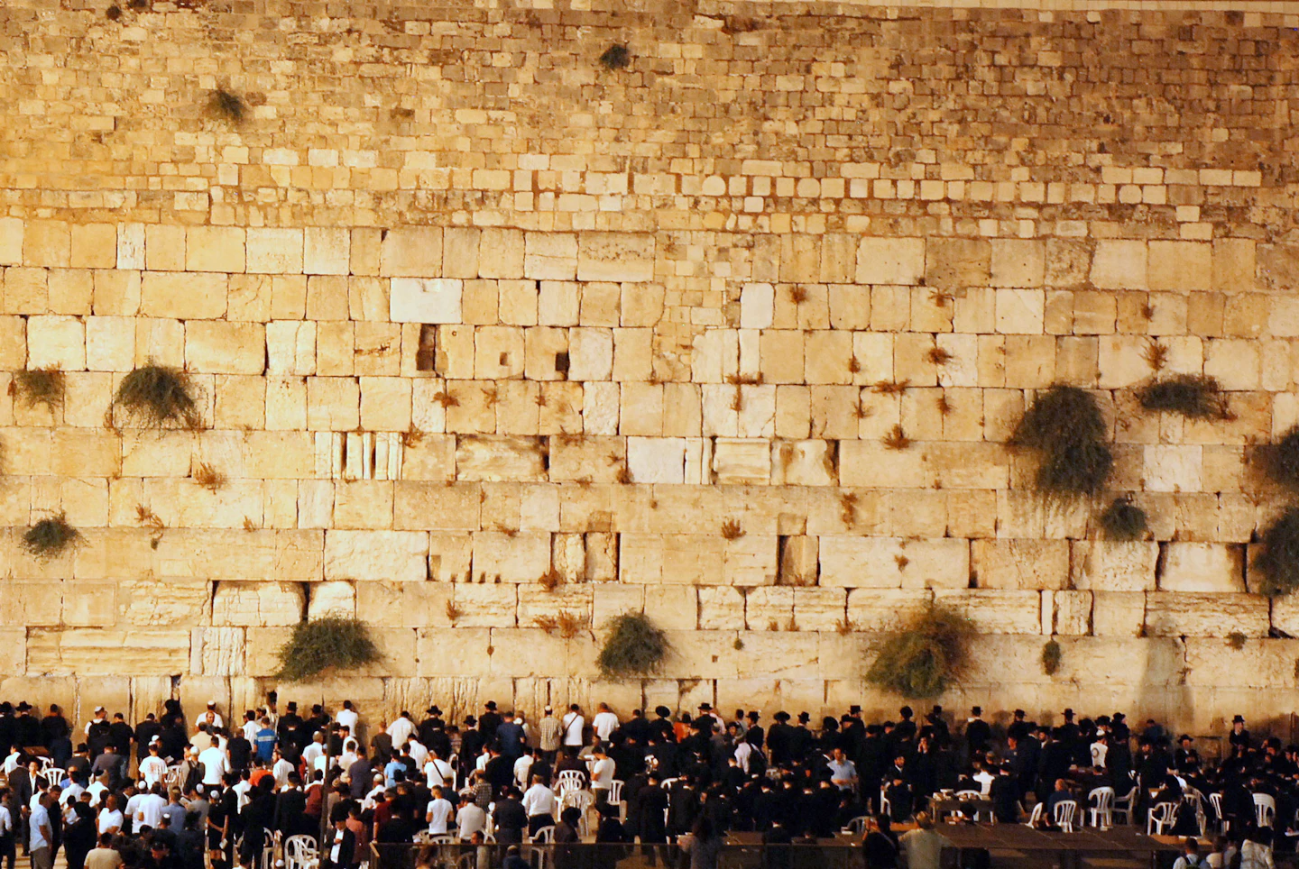 מתפללים ברחבת הכותל המערבי
