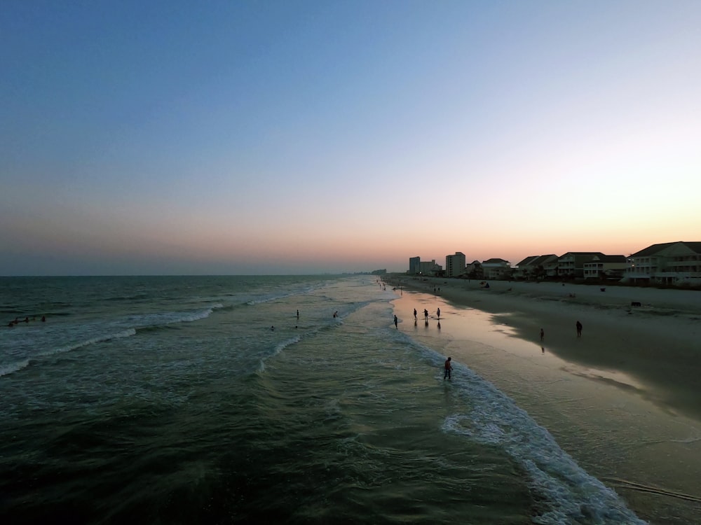 photography of seashore during daytime