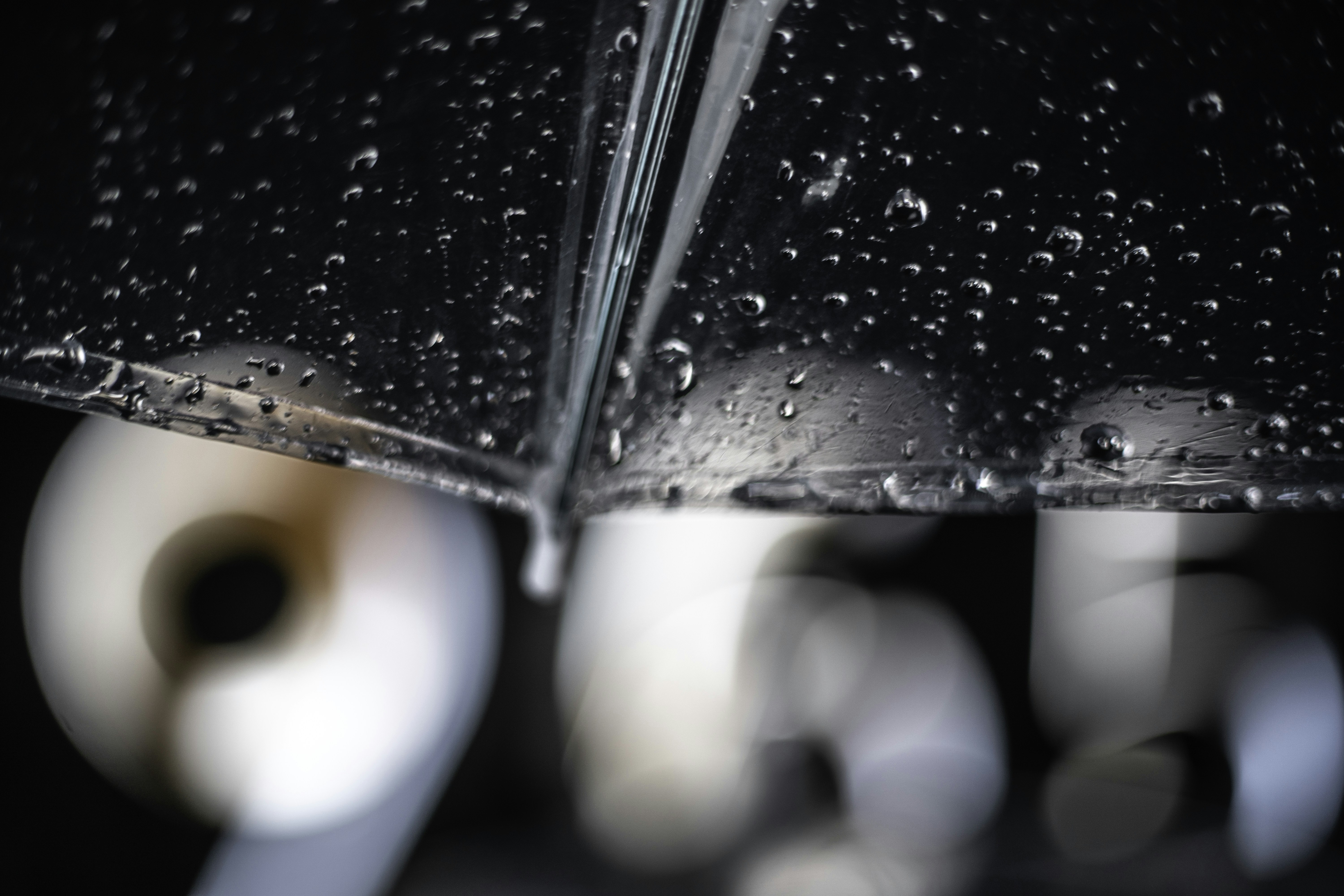 Photo by makariostang