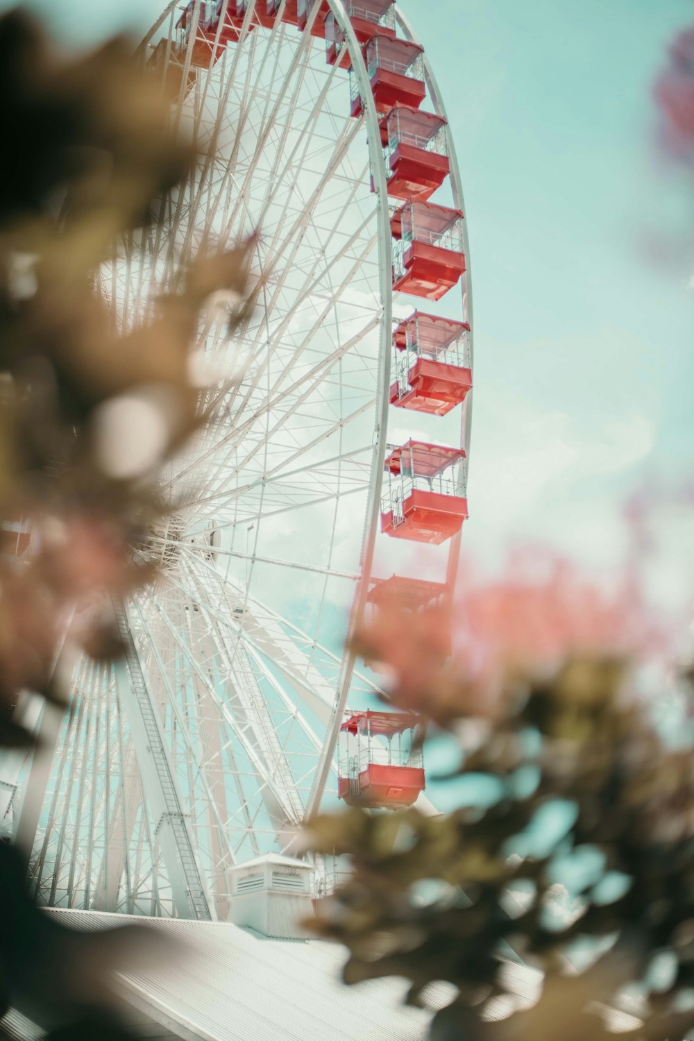 red ferris wheel