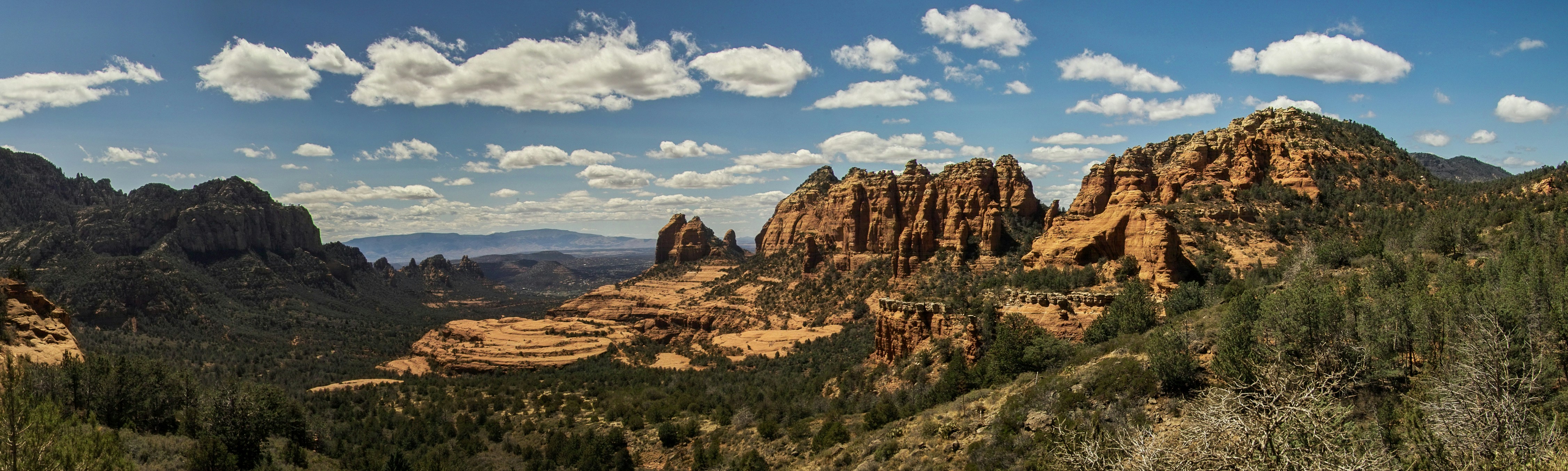 Photo by danielgregoire