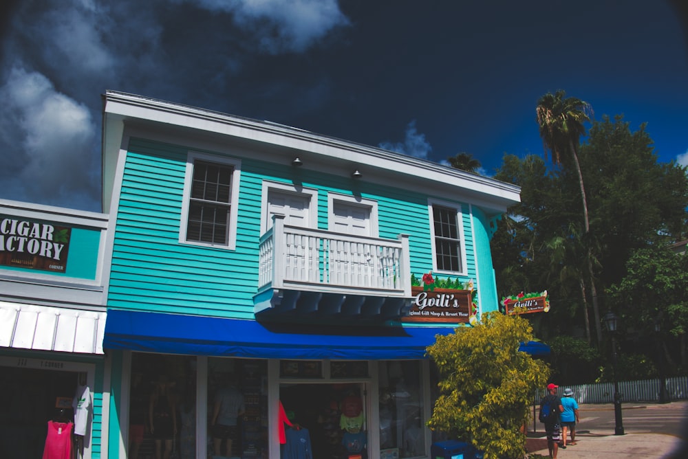 teal and white 2-storey house near plant