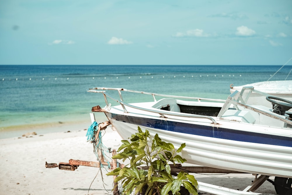 white and blue bowrider boat in seashore