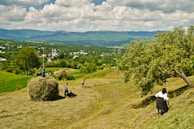 A rural landscape featuring several people working on a grassy hillside. One person stands atop a large pile of hay while holding a pitchfork, and others are engaged in gathering or stacking hay. In the background, a church and a small village are nestled among lush greenery and mountains under a partly cloudy sky.