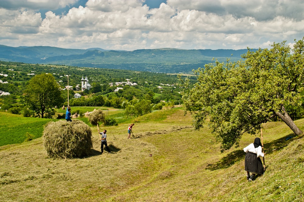 green trees near mountain at daytime